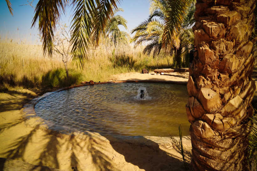 Egyptian oases