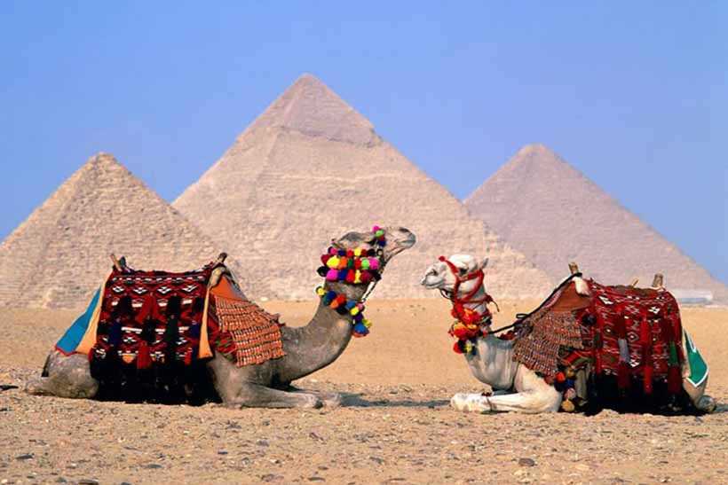 Cairo Highlights 2 Days Tour