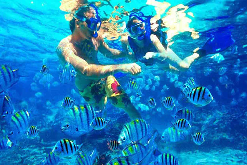 Hurghada Seawolf Submarine and Snorkeling Day Tour