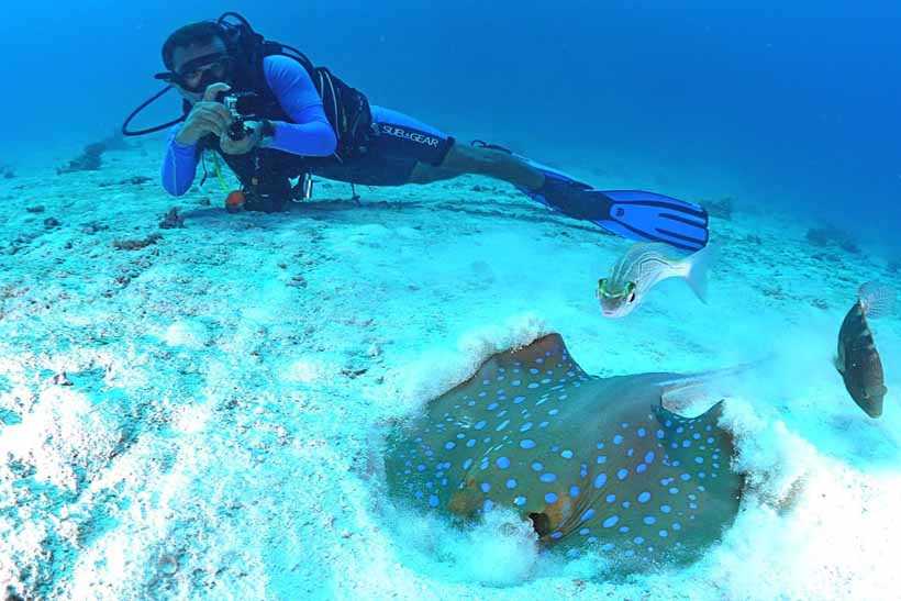 Half-Day Red Sea Dive from Hurghada or El Gouna