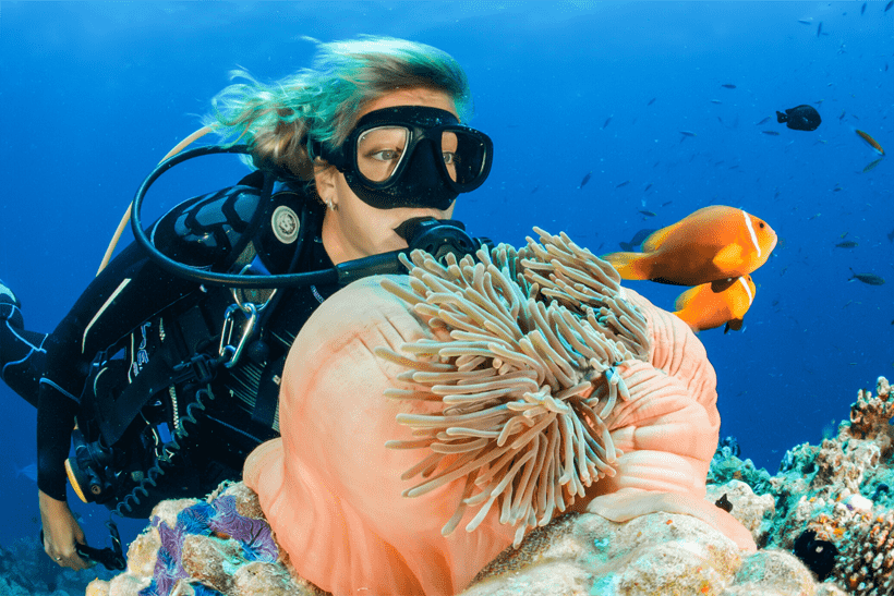 Tiran Island Cruise and Snorkeling