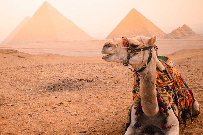 How To Travel to Egypt