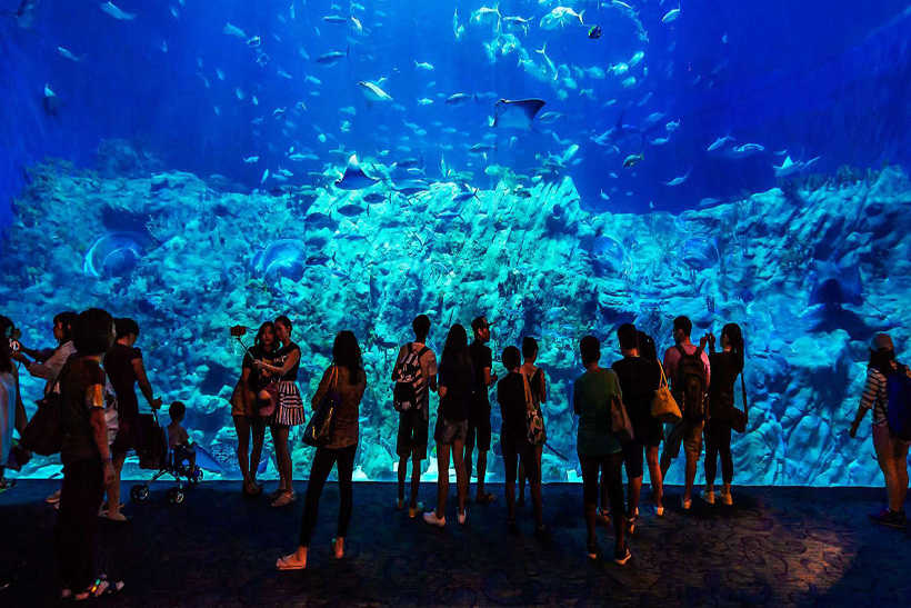 Hurghada Grand Aquarium Entry Ticket and Tour
