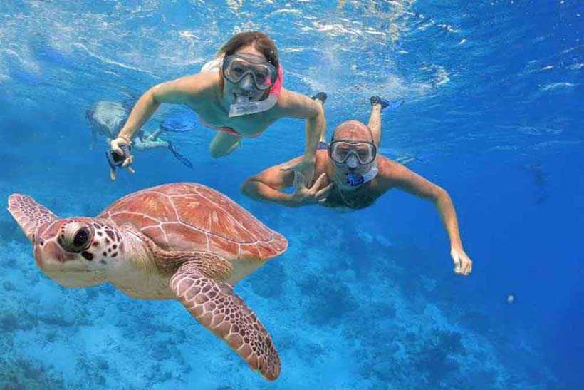 Ras Mohamed Red Sea Cruise and Snorkeling