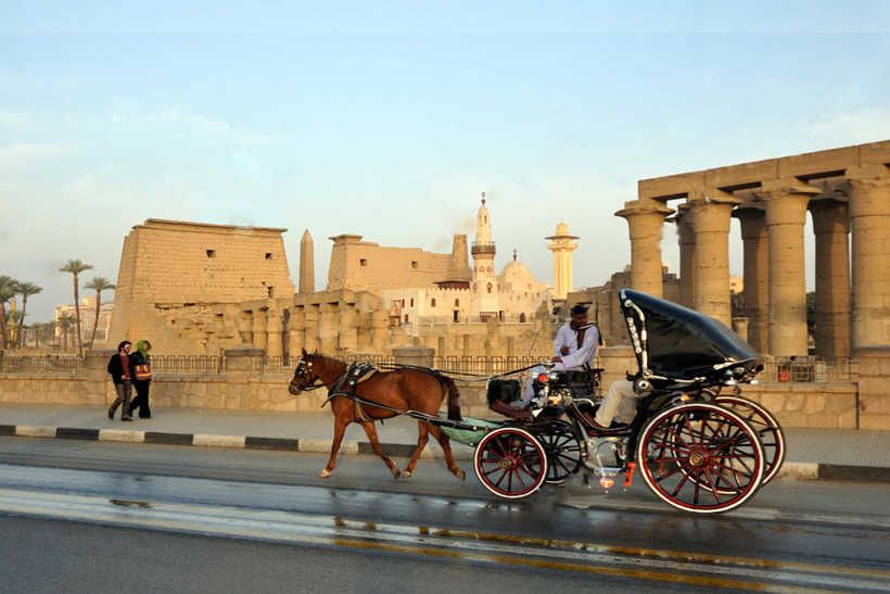 Carriage horse ride & Luxor museum 