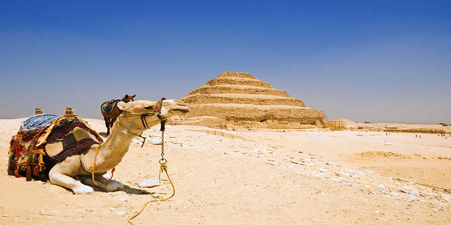 www.egypttraveltips.com