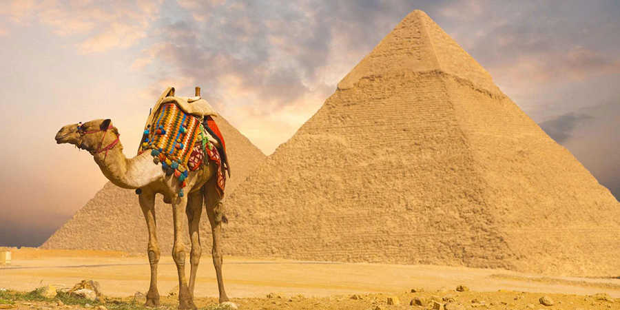 www.egypttraveltips.com