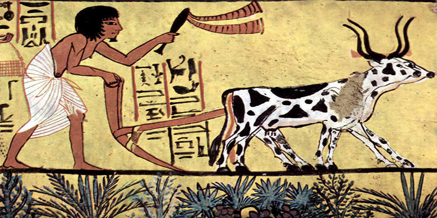 www.egypttraveltips.com