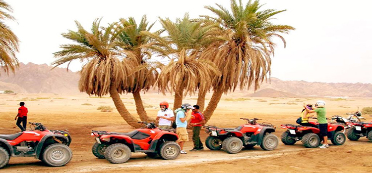 www.egypttraveltips.com
