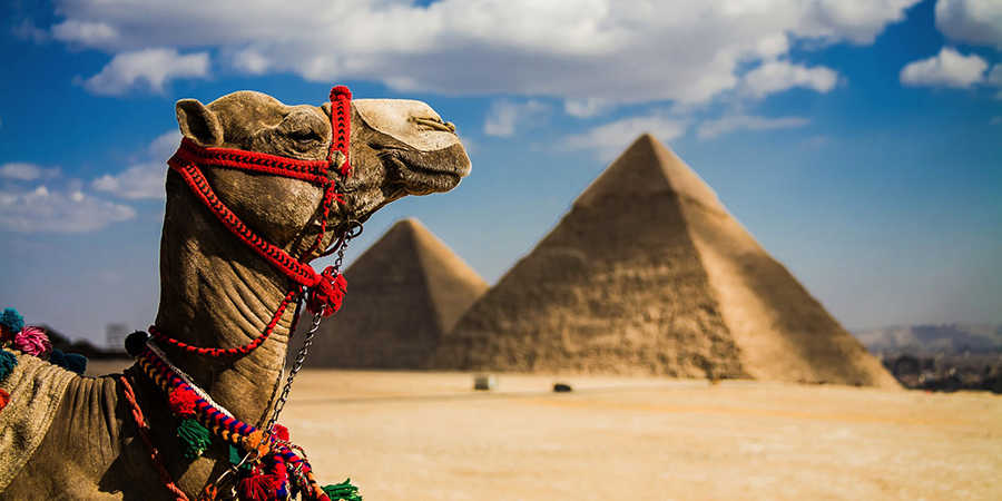 www.egypttraveltips.com