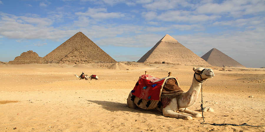 www.egypttraveltips.com