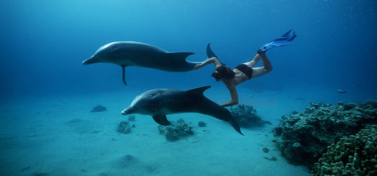 www.egypttraveltips.com